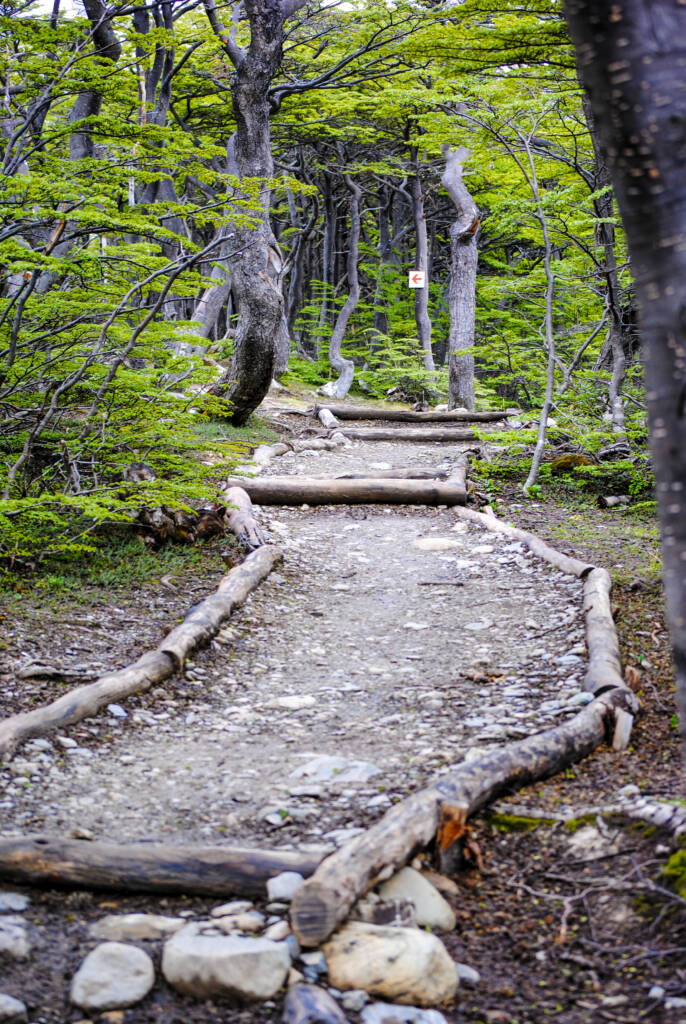 Hiking Trails in Maine